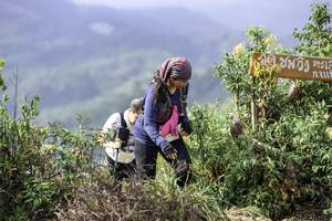 BIB: 1122
                            <button type="button" onclick="openModal(24765433)" class="btn btn-primary btn-sm float-right btn-popup" data-toggle="modal" data-target=".modal-high-quality">
                        <i class="fas fa-shopping-cart"></i> Add to Cart
                    </button>
                                            <button type="button" onclick="isThisMe(24765433, true)" class="btn btn-success btn-sm float-right btn-popup btn-isme hidden" data-toggle="tooltip" data-placement="bottom" title="นี่คือรูปของคุณใช่ไหม คลิกที่นี่เพื่อเอาเข้าอัลบั้ม">
                        <i class="fas fa-plus"></i> Add to album
                    </button>
                    <button type="button" onclick="isThisMe(24765433, false)" class="btn btn-warning btn-sm float-right btn-popup btn-isnotme hidden">
                        <i class="fas fa-ban"></i> Remove from album
                    </button>